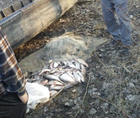 Plase de pescuit de 1.500 metri, confiscate în Delta Dunării